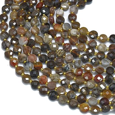 Природные окаменелое дерево бисер пряди G-K389-B33-01-1