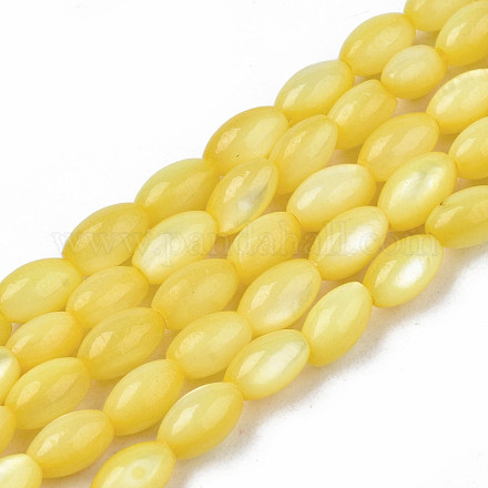Eau douce naturelle de coquillage perles brins SHEL-N003-25-B05-1