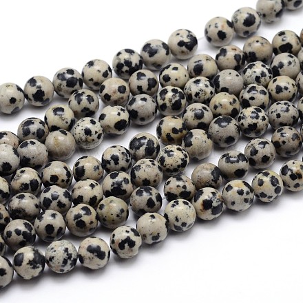 Natur Dalmatiner Jaspis runde Perle Stränge G-J303-19-10mm-1