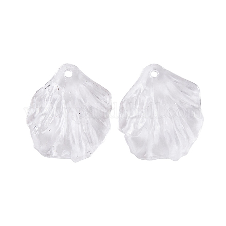 Прозрачные акриловые подвески&nbsp;TACR-G050-03B-1