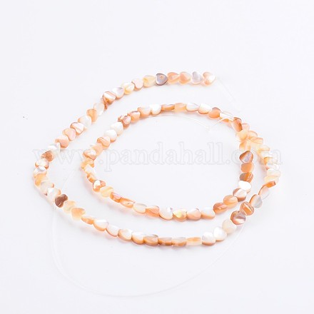 Natural Pink Shell Beads Strands SSHEL-K007-02-1