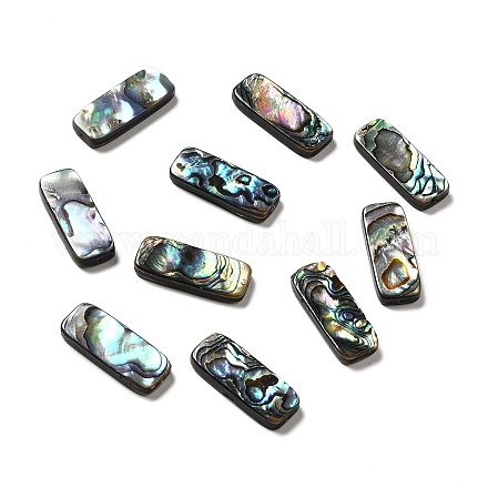 Natural Paua Shell Beads SHEL-G014-07A-1