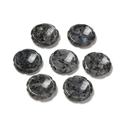 Natural Larvikite Worry Stones G-E586-01I-1