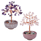 2Pcs 2 Styles Natural Amethyst & Rose Quartz Chips Tree of Life Decorations, Porcelain Base with Copper Wire, Feng Shui Energy Stone Gift for Home Office Desktop Decoration, 62~72x62x95~105mm, 1pc/style
