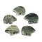 Natural Green Line Jasper Big Pendants, Zuni Bear Charms, 36~44x48~55x7mm, Hole: 3~3.5mm