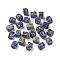 Rectangle Natural Blue Spot Jasper Rune Stones, Healing Stones for Chakras Balancing, Crystal Therapy, Meditation, Reiki, Divination, 15~16x11~12x11~11.5mm, 25pcs/set