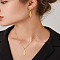 Teardrop Stainless Steel Jewerly Sets. Including Pendant Necklace and Stud Earring, Golden, 18.50 inch(470mm)