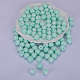 Round Silicone Focal Beads SI-JX0046A-60-1