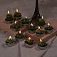 Cactus Paraffin Smokeless Candles DIY-G024-E-6