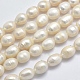 Brins de perles de culture d'eau douce naturelles PEAR-F007-69-01-1