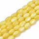 Eau douce naturelle de coquillage perles brins SHEL-N003-25-B05-1