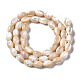 Chapelets de perles de coquille de trochid / trochus coquille X-SSHEL-S266-021B-02-2