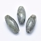 Natural Labradorite Beads G-P384-T26-1