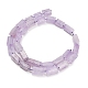 Natürlichen Amethyst Perlen Stränge&nbsp;G-F836-B11-01-3
