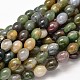 Oval Natural Indian Agate Bead Strands G-P106-14-1