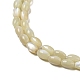 Brins de perles de coquillages naturels de troca SSHEL-H072-02B-3