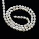 Fili di perle di perle d'acqua dolce coltivate naturali X-PEAR-L001-D-03-3