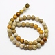 Natural Fossil Coral Beads Strands G-G735-51-6mm-2