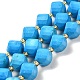 Dyed Natural Howlite Beads Strands G-G023-B01-01A-1