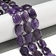 Natürlichen Amethyst Perlen Stränge&nbsp;G-P544-B06-01-2