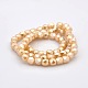 Full Rainbow Plated Imitation Jade Glass Faceted Drum Beads Strands GLAA-A032-6mm-FR03-2