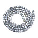 Eau douce naturelle de coquillage perles brins BSHE-T009A-01K-2