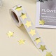Metallic Foil Star Shape Paper Sticker Labels DIY-E023-03-5