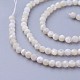Chapelets de perles de coquillage naturel X-G-F619-27-3mm-3