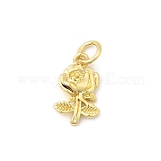 Латунные подвески KK-I364-44G