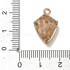 Natur Bildjaspisses Anhänger&nbsp;G-K422-01G-10