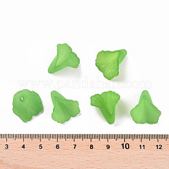 Прозрачные колпачки акриловая бисера X-PL551-C07