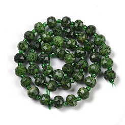 Нити бусин из натуральной кунжутной яшмы G-H057-A21-07