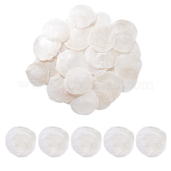 60 шт. натуральные бусины из ракушек капиз FIND-PH0026-67