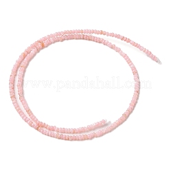 Нити бусин из натуральных пресноводных ракушек SHEL-P017-01A-09