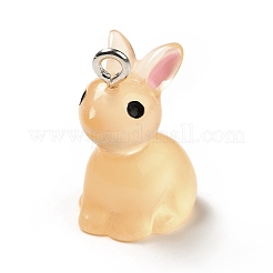 Подвески из светящейся полупрозрачной смолы RESI-A017-04