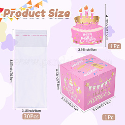 Копилка с днем рождения для денежного подарка DIY-WH200050-31E