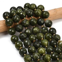 Тайвань природного нефрита бисер нитей G-C249-A06-16mm