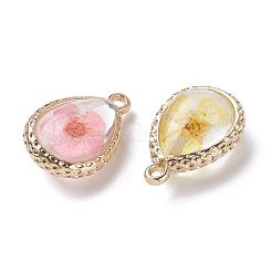 Стеклянные сушеные цветочные подвески&nbsp;RESI-F030-23