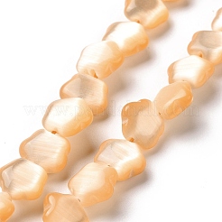 キャッツアイビーズ連売り  スター  ミックスカラー  9.5x10x4mm  穴：1mm  約41~42個/連  14.37~14.57インチ（36.5~37cm）&nbsp;CE-C006-03B