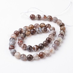 Природные Ботсвана агат бусинка пряди G-J376-08-8mm