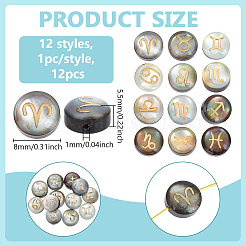 12 шт. 12 стиля натуральных черных бусинок-ракушек с золотой эмалью SSHEL-BC0001-32