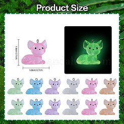 30 個 6 色の蓄光透明樹脂ペンダント  暗闇で光る3D猫チャーム  304ステンレススチールループ付き  ミックスカラー  27x27x17.5mm  穴：2mm  5個/カラー&nbsp;RESI-SZ0003-40