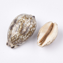 Perle di conchiglia di ciprea&nbsp;X-SSHEL-S258-59A