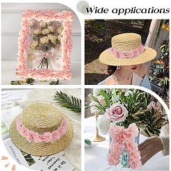 5 ярд полиэстерового шифонового кружева&nbsp;DIY-GF0008-56B