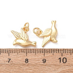 Messing Anhänger & Charms&nbsp;KK-H297-06G