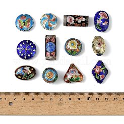 Бусины ручной работы перегородчатой CLB-Z001-10G