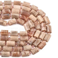 Натуральный Sunstone бисер пряди&nbsp;G-G453-E09-10x14mm