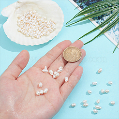 2 нить бусин из натурального культивированного пресноводного жемчуга PEAR-NB0002-56