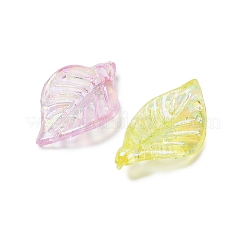 Прозрачные акриловые подвески&nbsp;MACR-F084-02