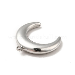 Подвески из нержавеющей стали 304 STAS-I197-018A-P